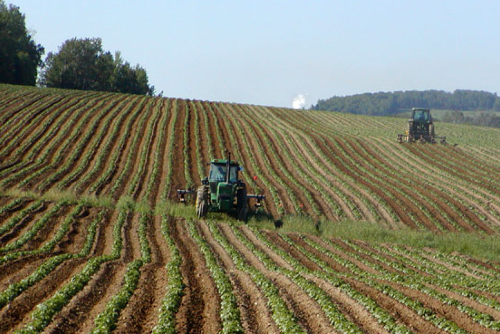 2 tractors treballant en un camp gran